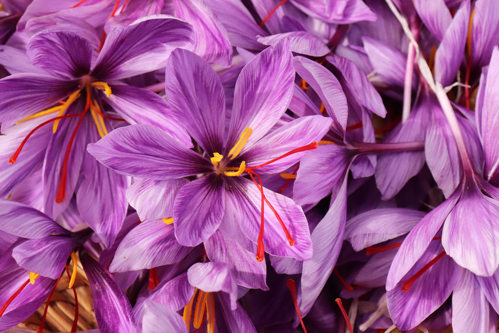 The Cognitive Benefits of Saffron
